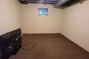 9732 S Houston Ave, Chicago, IL 60617 - Photo 28