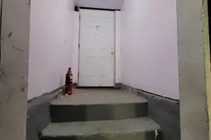 9732 S Houston Ave, Chicago, IL 60617 - Photo 30