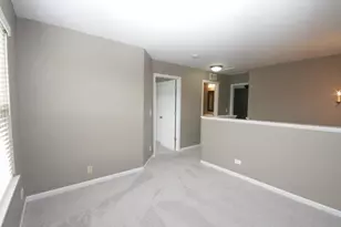 133 Willey St, Gilberts, IL 60136 - Photo 12