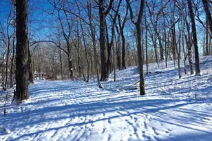 9 Buckingham Dr, Sugar Grove, IL 60554 - Photo 36