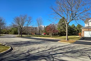 273 W 20th St, Lombard, IL 60148 - Photo 4