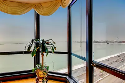 990 N Lake Shore Drive #9A, Chicago, IL 60611 - Photo 8