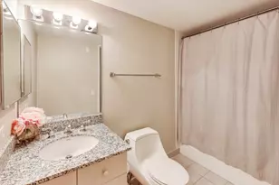 512 N McClurg Ct, Chicago, IL 60611 - Photo 22