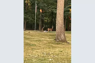 [Address not provided], Sheldon, IL 60966 - Photo 36