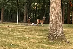 [Address not provided], Sheldon, IL 60966 - Photo 36