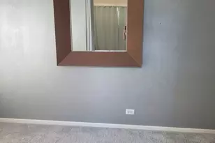 741 Regal Ln, Algonquin, IL 60102 - Photo 16