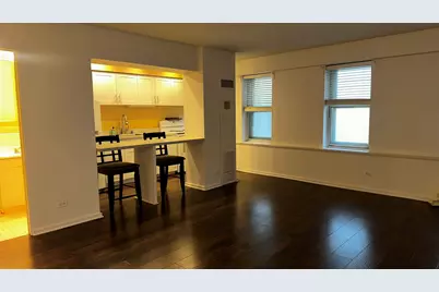 40 E 9th Street #312, Chicago, IL 60605 - Photo 6