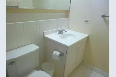 40 E 9th Street #312, Chicago, IL 60605 - Photo 10