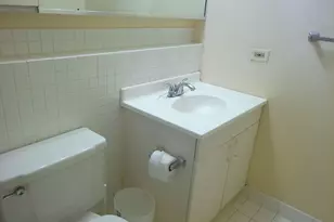 40 E 9th St, Chicago, IL 60605 - Photo 10