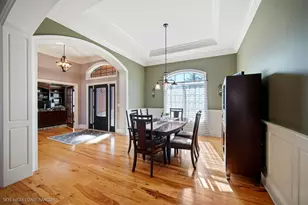 20643 Michigan Island Ct, Frankfort, IL 60423 - Photo 10