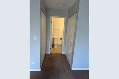 2920 Roberts Drive #5, Woodridge, IL 60517 - Photo 4
