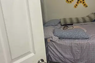 [Address not provided], Chicago, IL 60621 - Photo 6