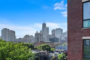 1448 N Orleans St, Chicago, IL 60610 - Photo 26