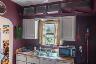 30 Plum St, Saunemin, IL 61769 - Photo 4
