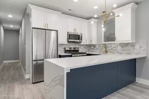 1241 S Fairfield Ave, Chicago, IL 60608 - Photo 4