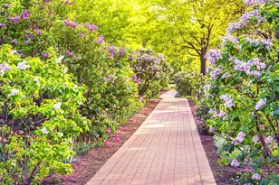 310 S Main St, Lombard, IL 60148 - Photo 16