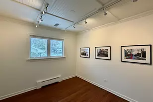 1320 Pinehurst Dr, Glenview, IL 60025 - Photo 16