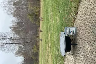 104 River Run Dr, Saint Anne, IL 60964 - Photo 30