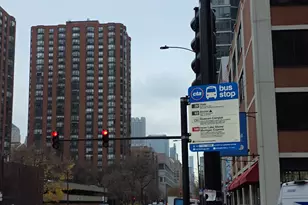 1101 S State St, Chicago, IL 60605 - Photo 30