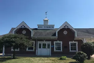 264 Snowdrop Ln, Elgin, IL 60124 - Photo 46