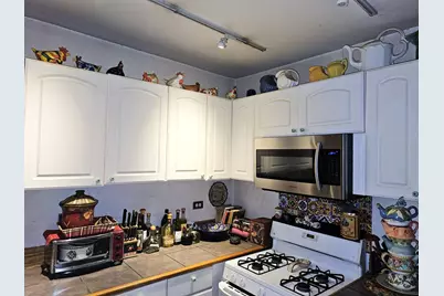 4207 N Drake Avenue, Chicago, IL 60618 - Photo 6