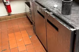 215 W North Ave, Chicago, IL 60610 - Photo 12