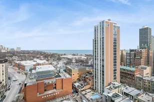 70 W Burton Pl, Chicago, IL 60610 - Photo 20