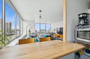 70 W Burton Pl, Chicago, IL 60610 - Photo 14