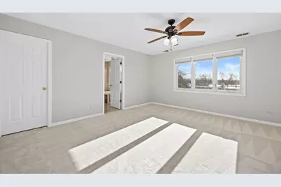 459 59th Street, Lisle, IL 60532 - Photo 26