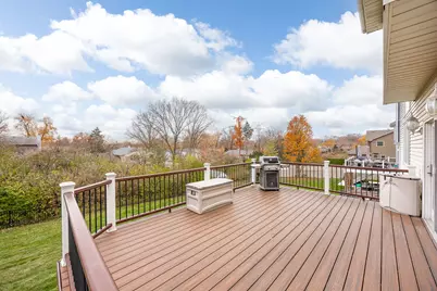 459 59th Street, Lisle, IL 60532 - Photo 46