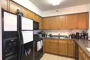 512 N McClurg Ct, Chicago, IL 60611 - Photo 10