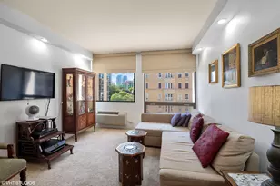 [Address not provided], Chicago, IL 60610 - Photo 18