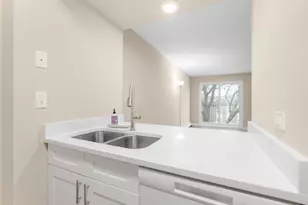 1004 N Mill St, Naperville, IL 60563 - Photo 10