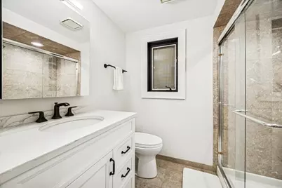 1108 S Maple Avenue, Oak Park, IL 60304 - Photo 10