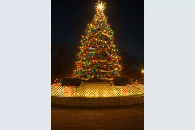 110 S Evergreen Avenue #3BS, Arlington Heights, IL 60005 - Photo 26