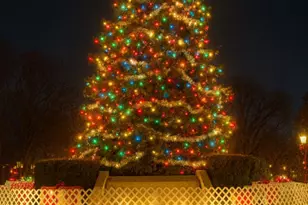 110 S Evergreen Ave, Arlington Heights, IL 60005 - Photo 26