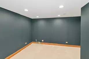 1405 Surrey Ln, Algonquin, IL 60102 - Photo 38