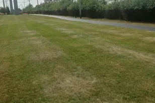 26 King Arthur Ct, Northlake, IL 60164 - Photo 26