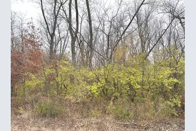 4047 Foxwood Drive, Kankakee, IL 60901 - Photo 1