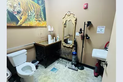 1185 Spring Street, South Elgin, IL 60177 - Photo 6