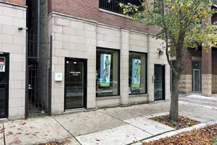 215 E 31st St, Chicago, IL 60616 - Photo 2