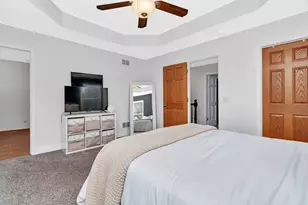 1110 S Sandstone Dr, Diamond, IL 60416 - Photo 22