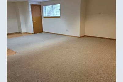 21320 W Douglas Lane, Plainfield, IL 60544 - Photo 16