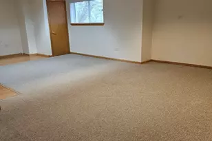 21320 W Douglas Ln, Plainfield, IL 60544 - Photo 16