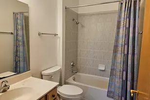 21320 W Douglas Ln, Plainfield, IL 60544 - Photo 14