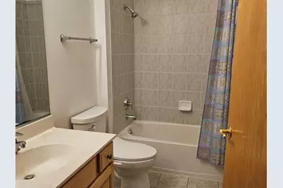 21320 W Douglas Lane, Plainfield, IL 60544 - Photo 12