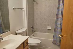 21320 W Douglas Ln, Plainfield, IL 60544 - Photo 12