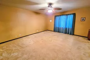 24656 S Willow Brook Trail, Crete, IL 60417 - Photo 22