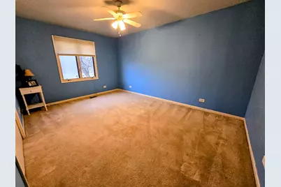 24656 S Willow Brook Trail, Crete, IL 60417 - Photo 22