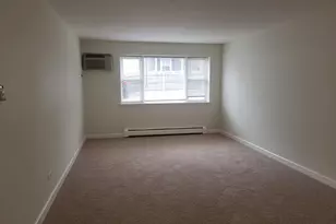 1039 College Ave, Wheaton, IL 60187 - Photo 4